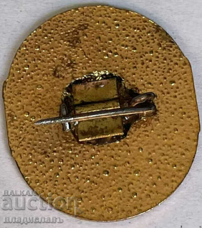 Auction  TKZS COURTEN