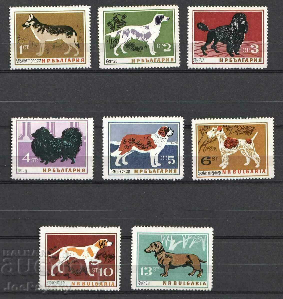 Βουλγαρία - 1964 - Σκύλοι