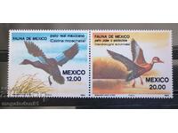Mexic - faună, păsări