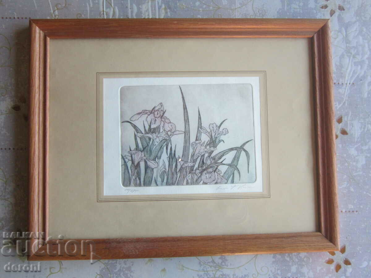 Picture etching engraving signed 6 with price 90.00 BGN | € 46.02