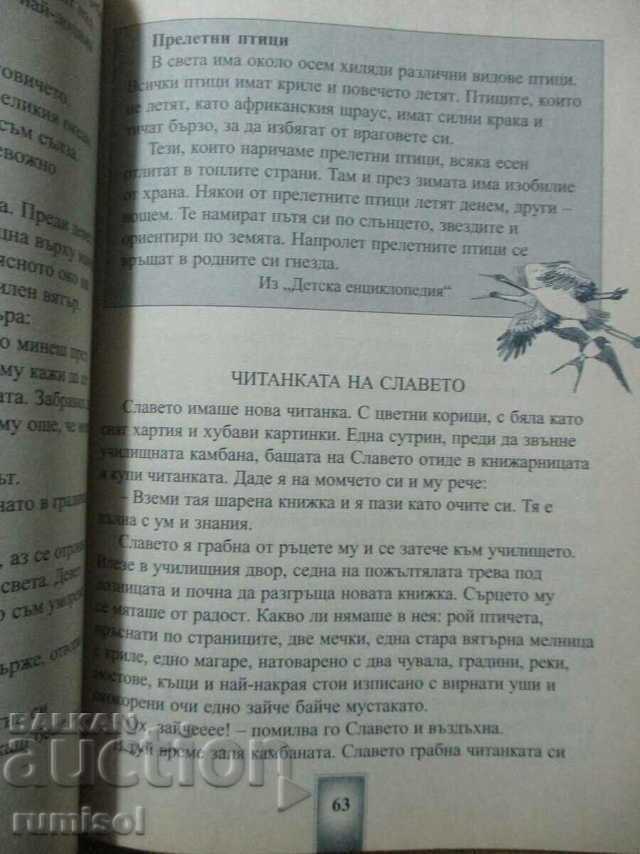 A magical fountain for 2nd grade - 5