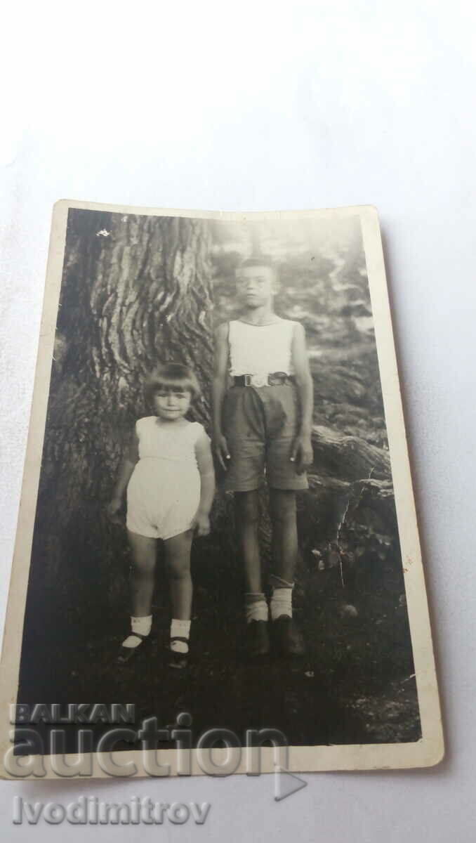 Снимка Момче и малко момиченце до старо дърво