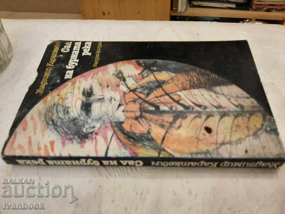 Raft on the stormy river - Vladimir Karadkevich with price 2.00 BGN | € 1.02