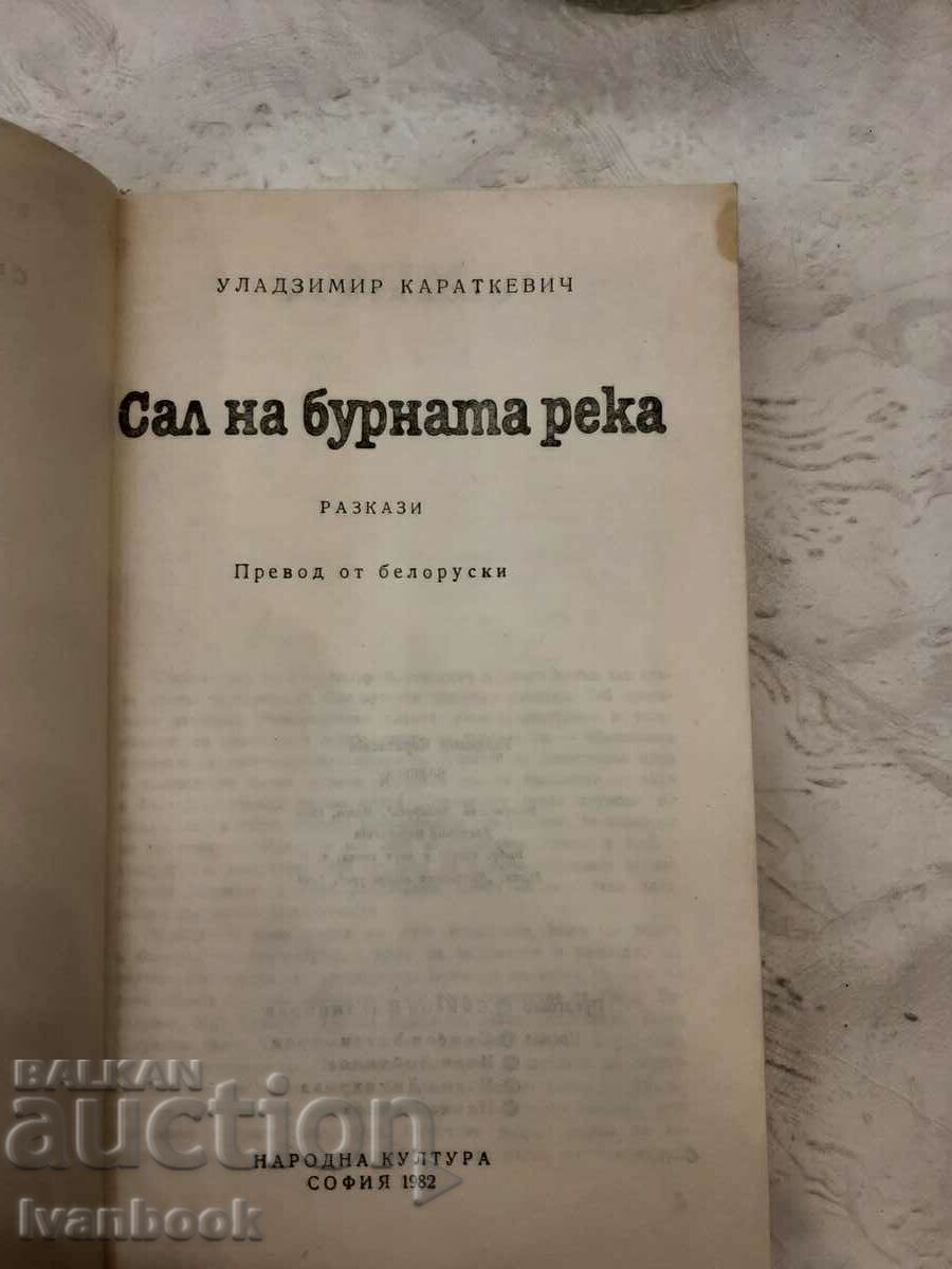Auction  Raft on the stormy river - Vladimir Karadkevich