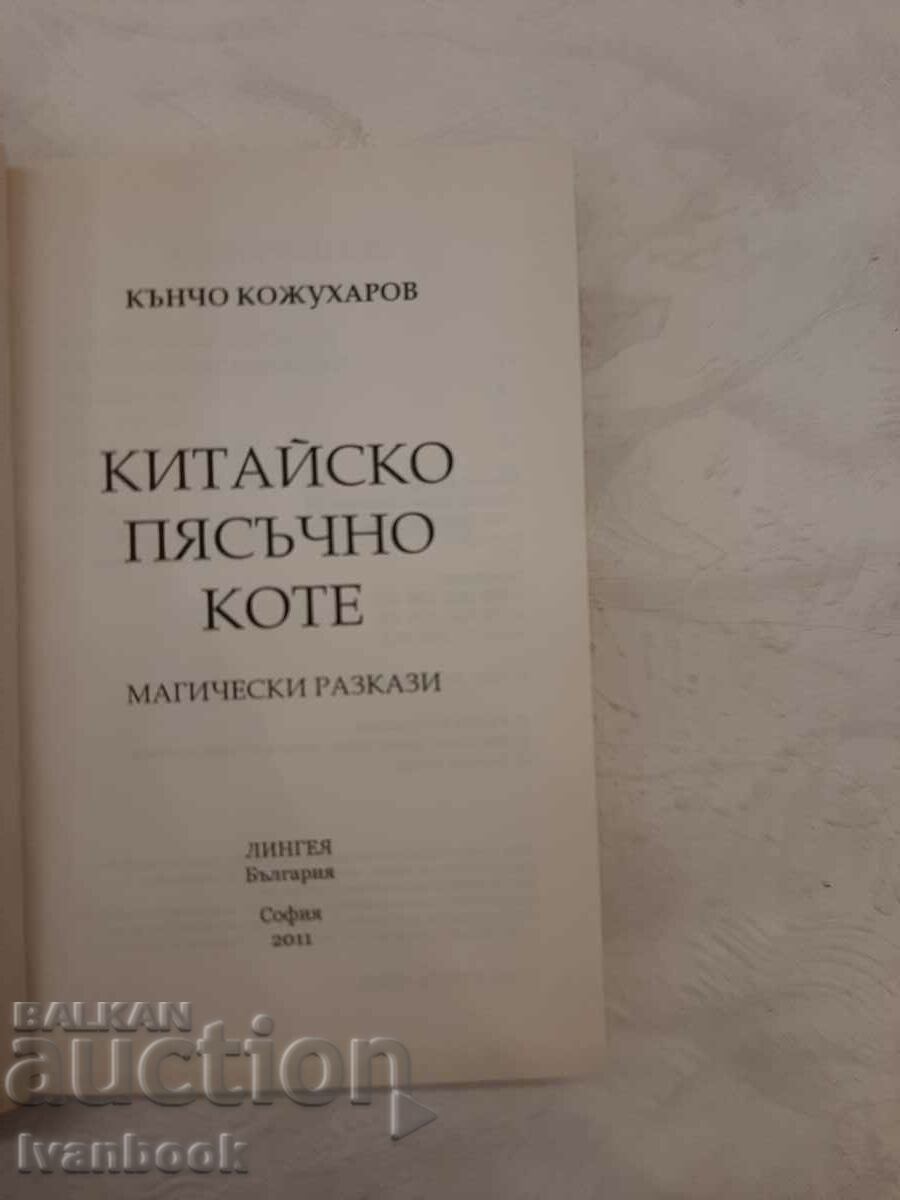 Auction  Chinese sand kitten - Kuncho Kozhuharov