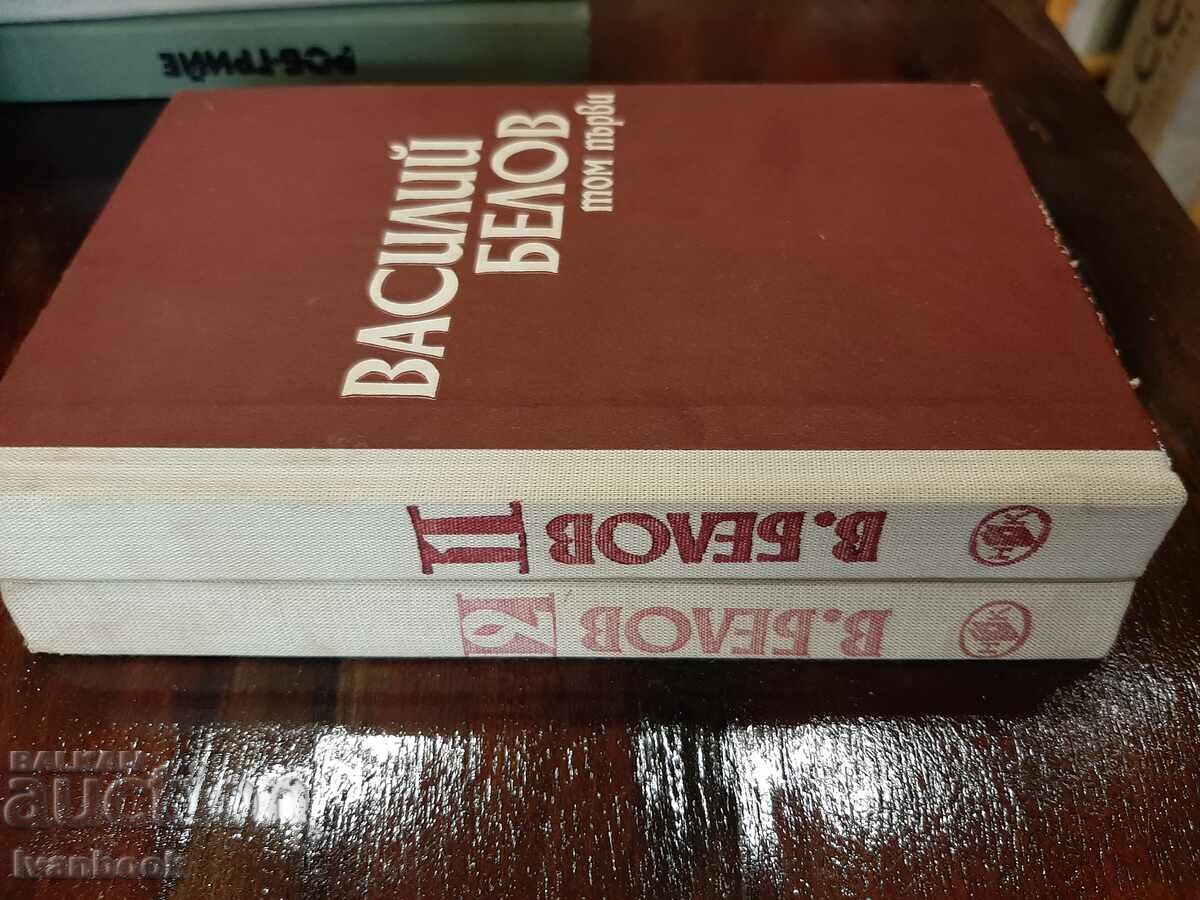 Auction Vasily Berov Two volumes Auction Vasily Berov Two volumes