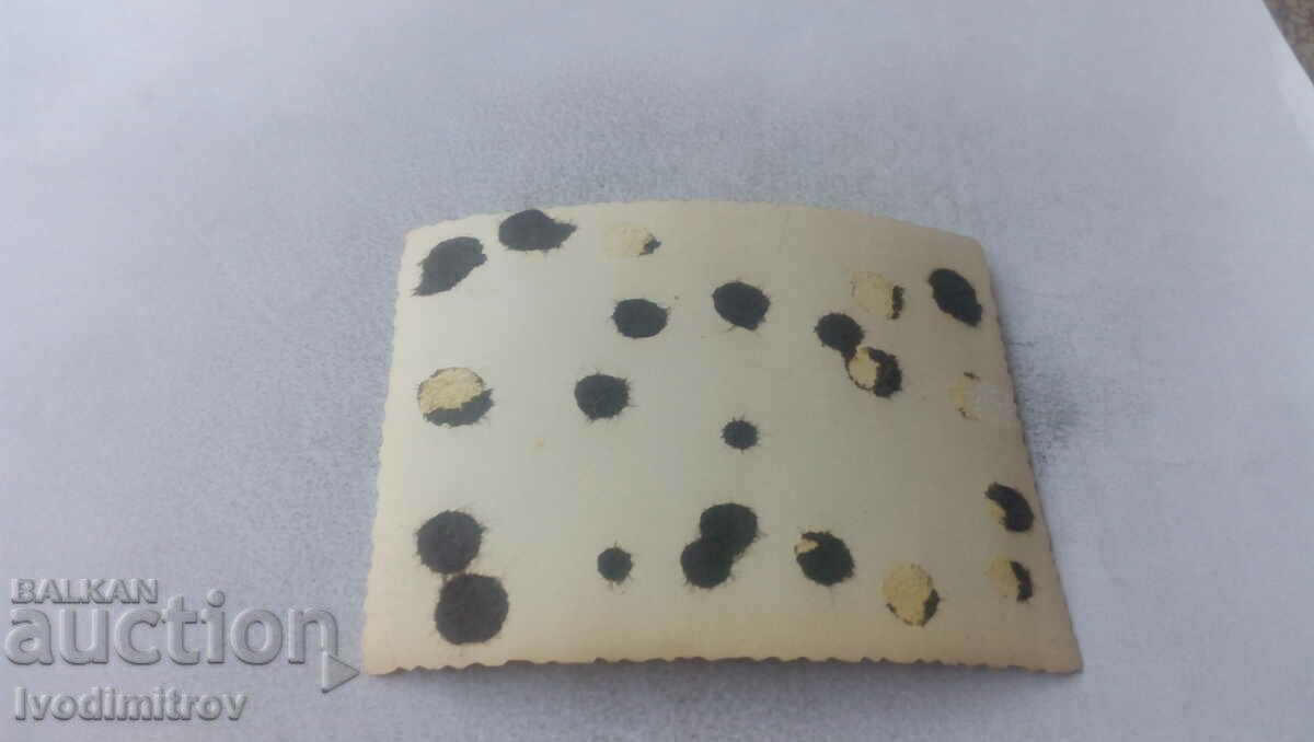 Photo Sergeants with two horses in the barracks with price 1.85 BGN | € 0.95 Photo Sergeants with two horses in the barracks with price 1.85 BGN | € 0.95