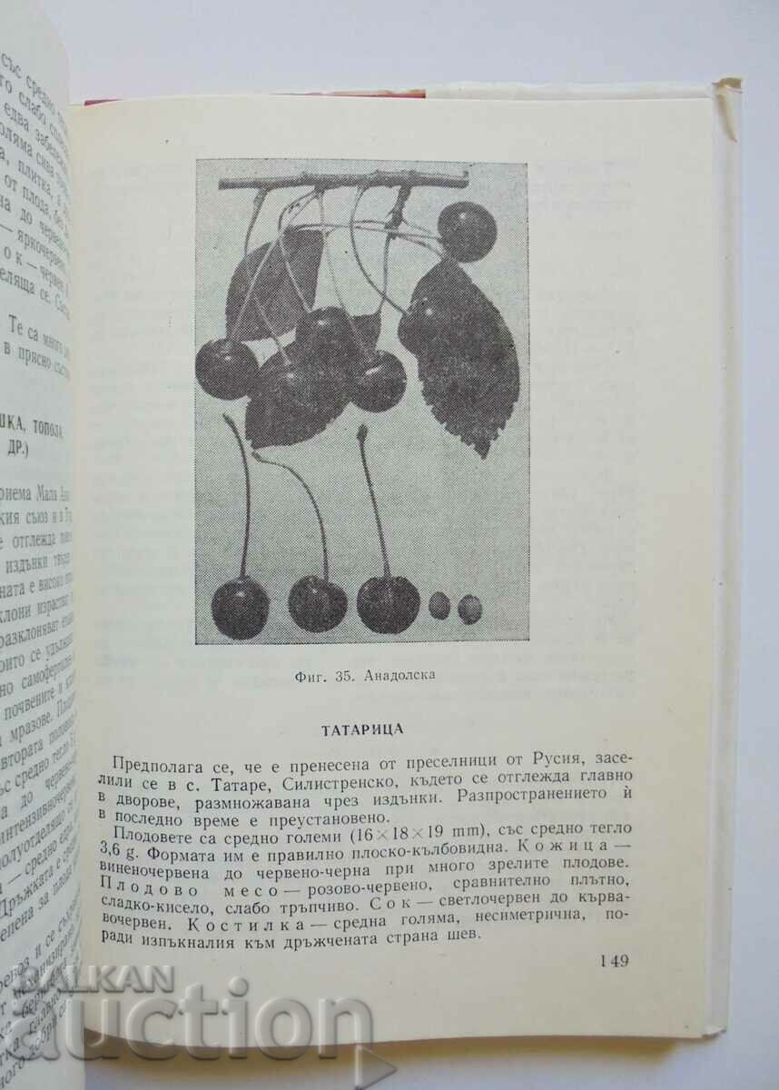 Delivery of Cherry and cherry - Vasil Vasilev, Vasil Georgiev 1982. Delivery of Cherry and cherry - Vasil Vasilev, Vasil Georgiev 1982.