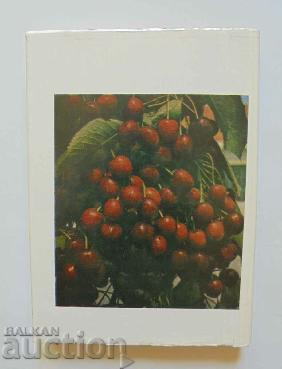 Cherry and cherry - Vasil Vasilev, Vasil Georgiev 1982. - 6 Cherry and cherry - Vasil Vasilev, Vasil Georgiev 1982. - 6