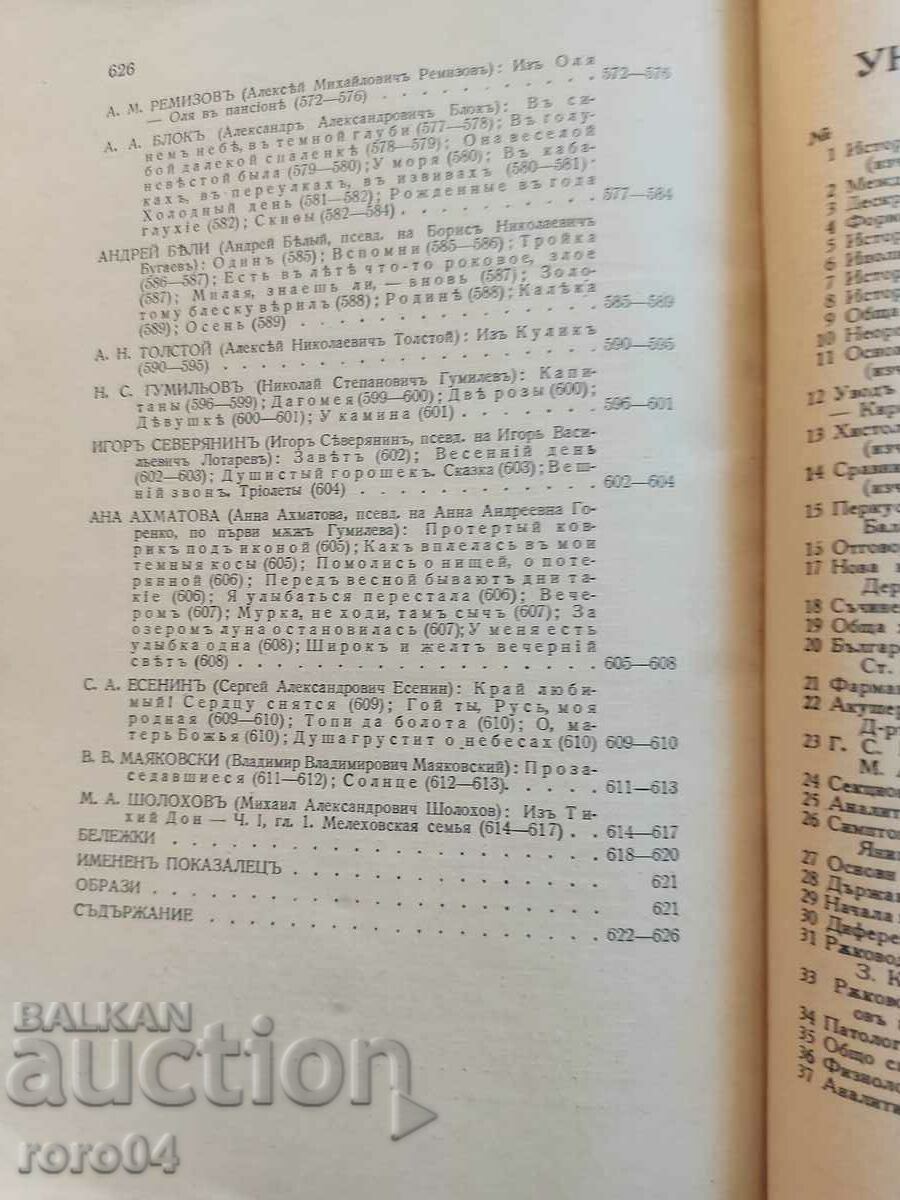 DISCURSARE LITERARĂ RUSĂ ÎN IMAGINI - 6