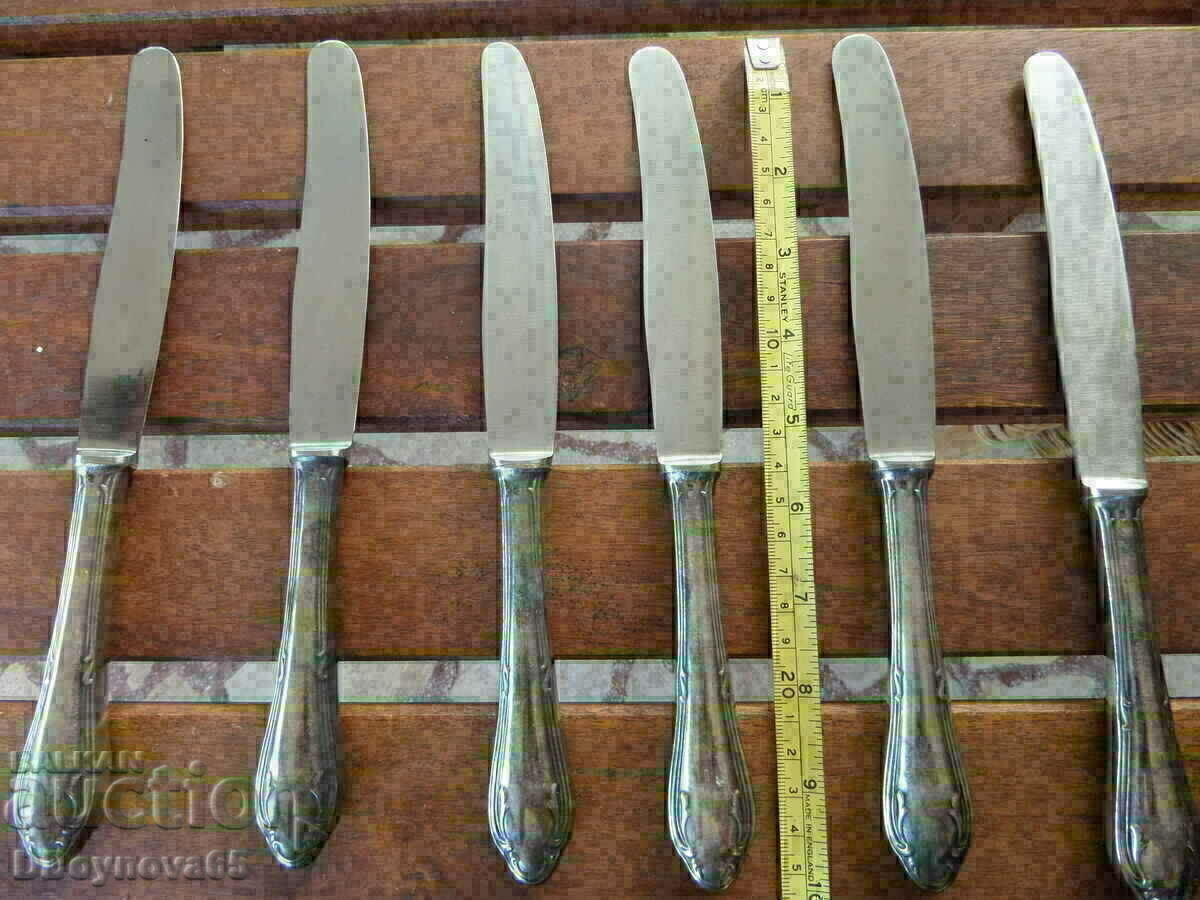 Livrarea Solingen - Germania Livrarea Solingen - Germania