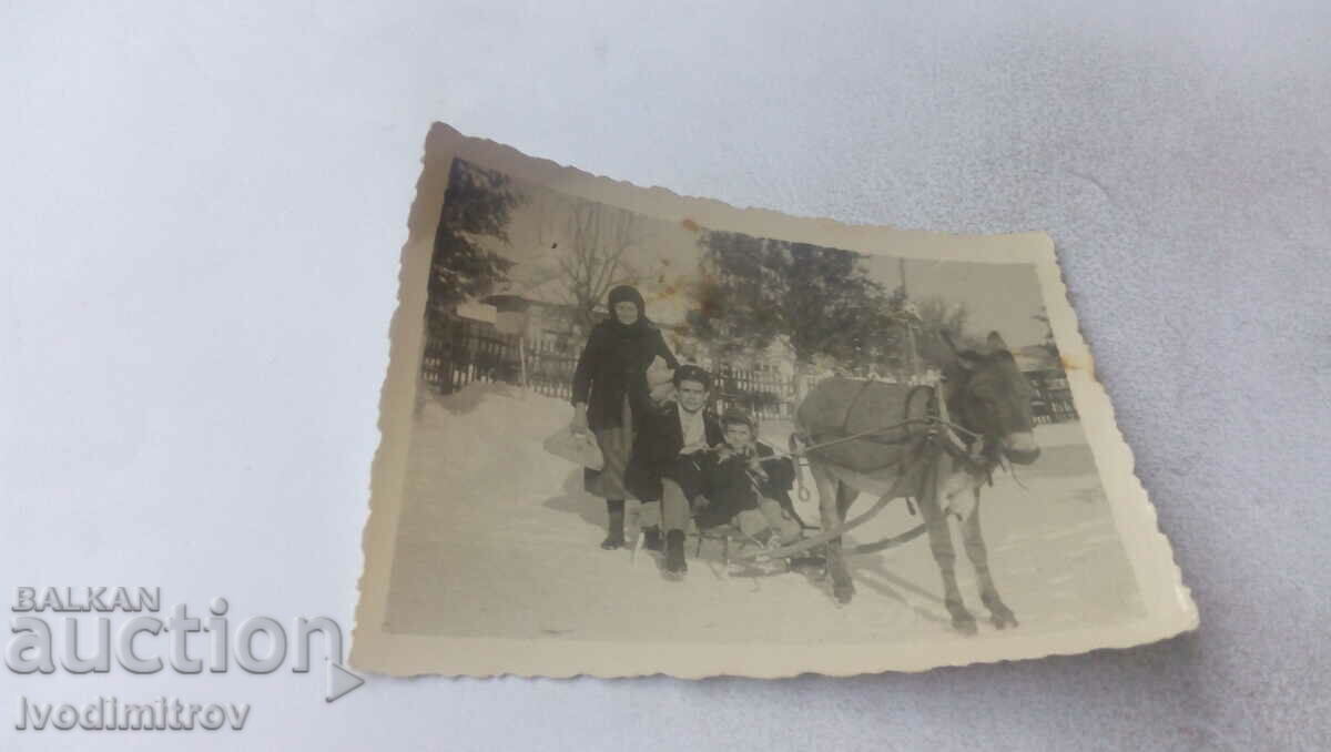 Photo Family with donkey sled in winter