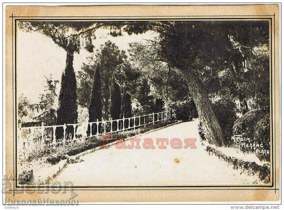 1932 OLD PHOTO UKRAINIAN CRIMEA MELAS ALLEY B887 1932 OLD PHOTO UKRAINIAN CRIMEA MELAS ALLEY B887
