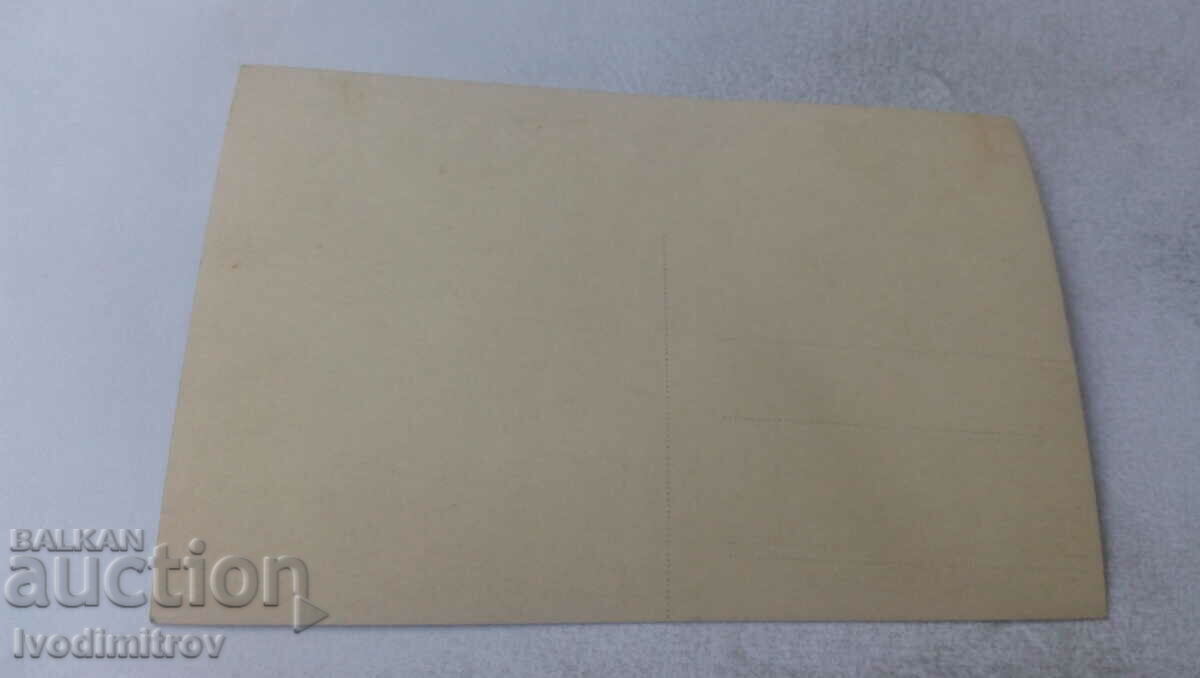 Photo Women and children on the meadow with price 1.45 BGN | € 0.74 Photo Women and children on the meadow with price 1.45 BGN | € 0.74