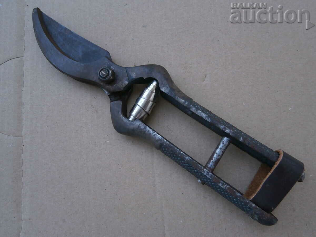 vintage χορδές ψαλιδιών αμπέλου με τιμή 31.00 BGN | € 15.85 vintage χορδές ψαλιδιών αμπέλου με τιμή 31.00 BGN | € 15.85