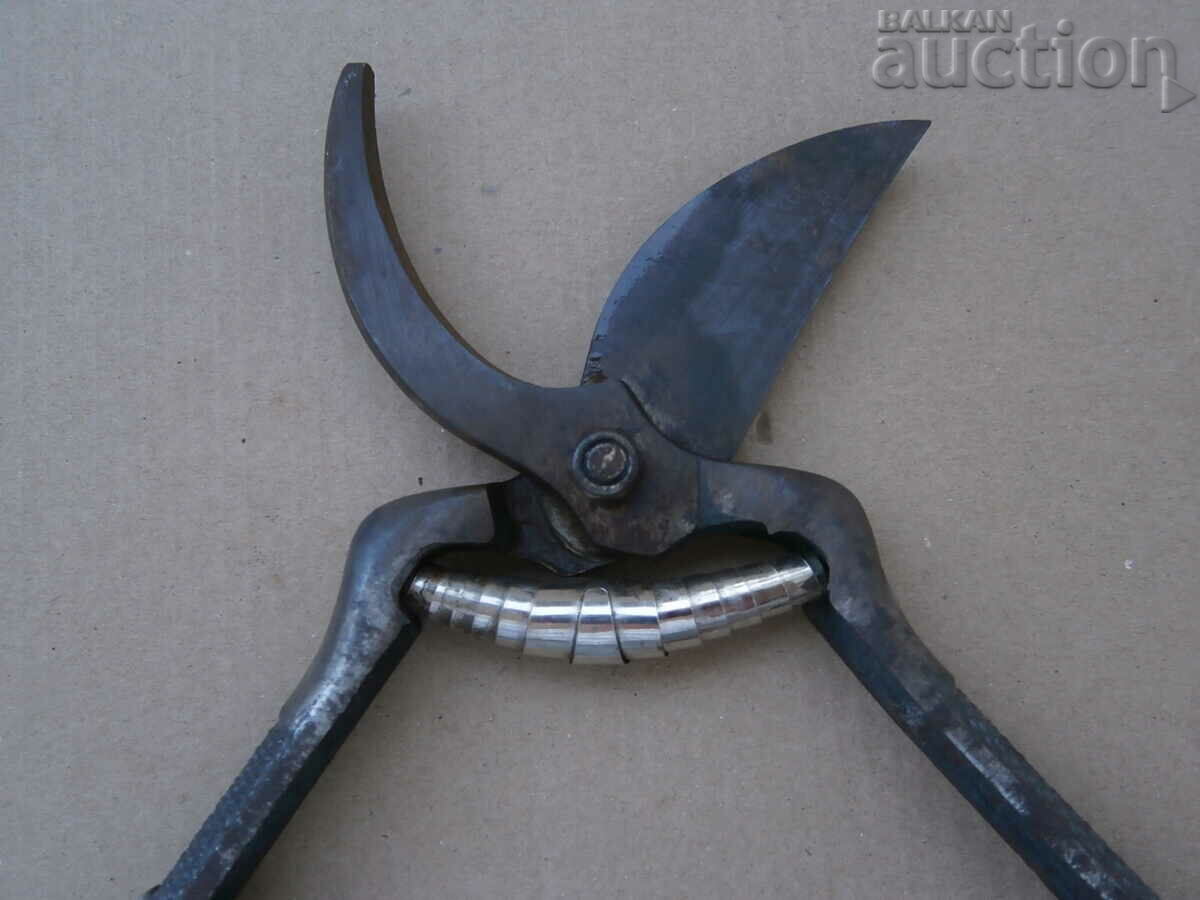 Δημοπρασία vintage χορδές ψαλιδιών αμπέλου Δημοπρασία vintage χορδές ψαλιδιών αμπέλου