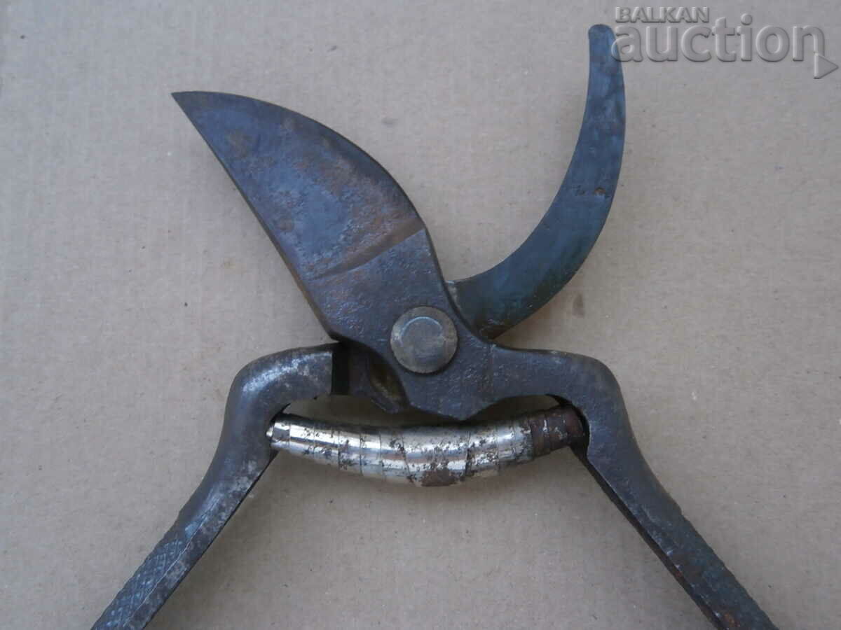 Παράδοση vintage χορδές ψαλιδιών αμπέλου Παράδοση vintage χορδές ψαλιδιών αμπέλου