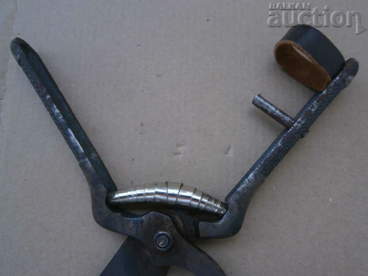 vintage χορδές ψαλιδιών αμπέλου - 6 vintage χορδές ψαλιδιών αμπέλου - 6