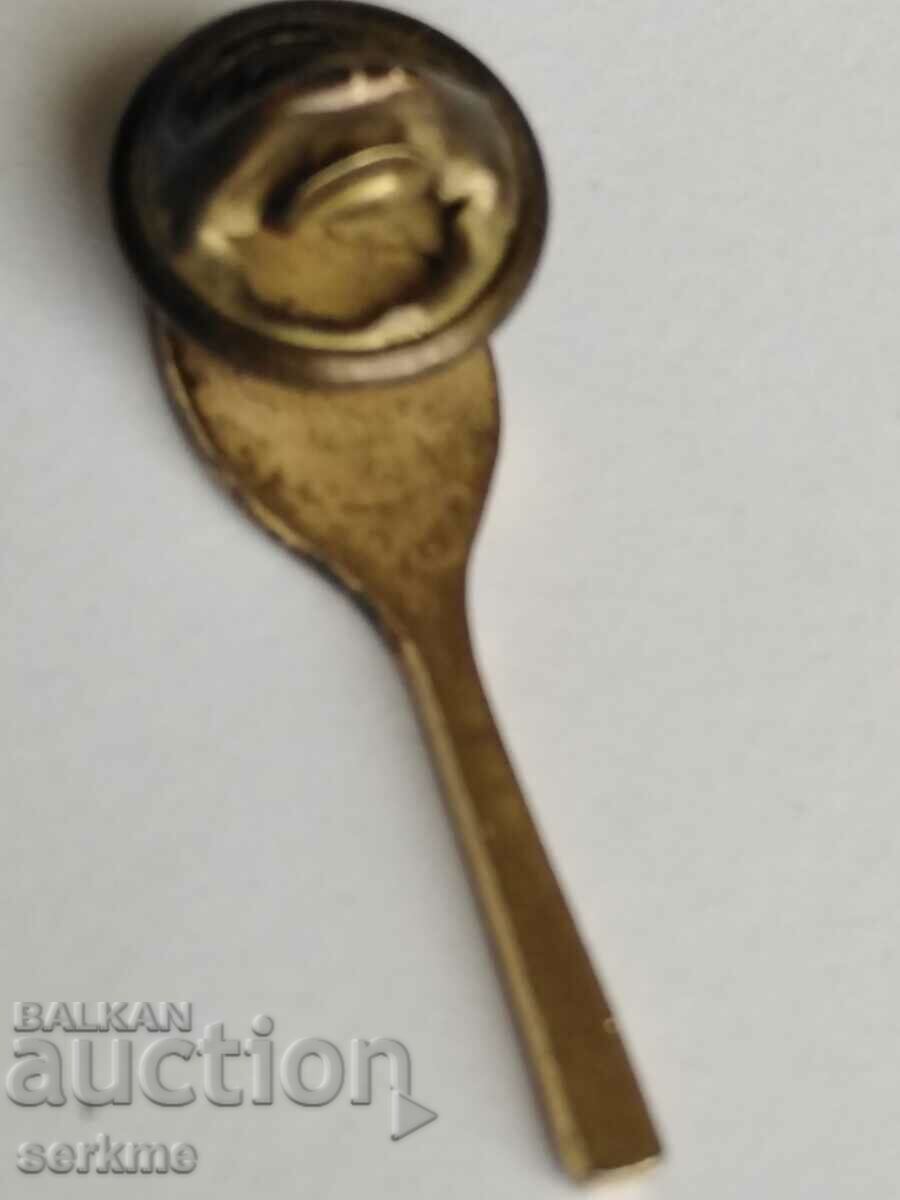 Delivery of Badge Delivery of Badge