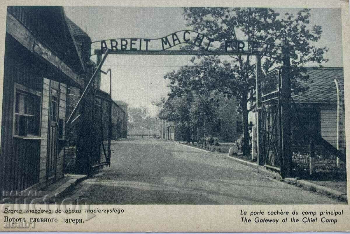 Auction Auschwitz/Auschwienzium death camp Auction Auschwitz/Auschwienzium death camp