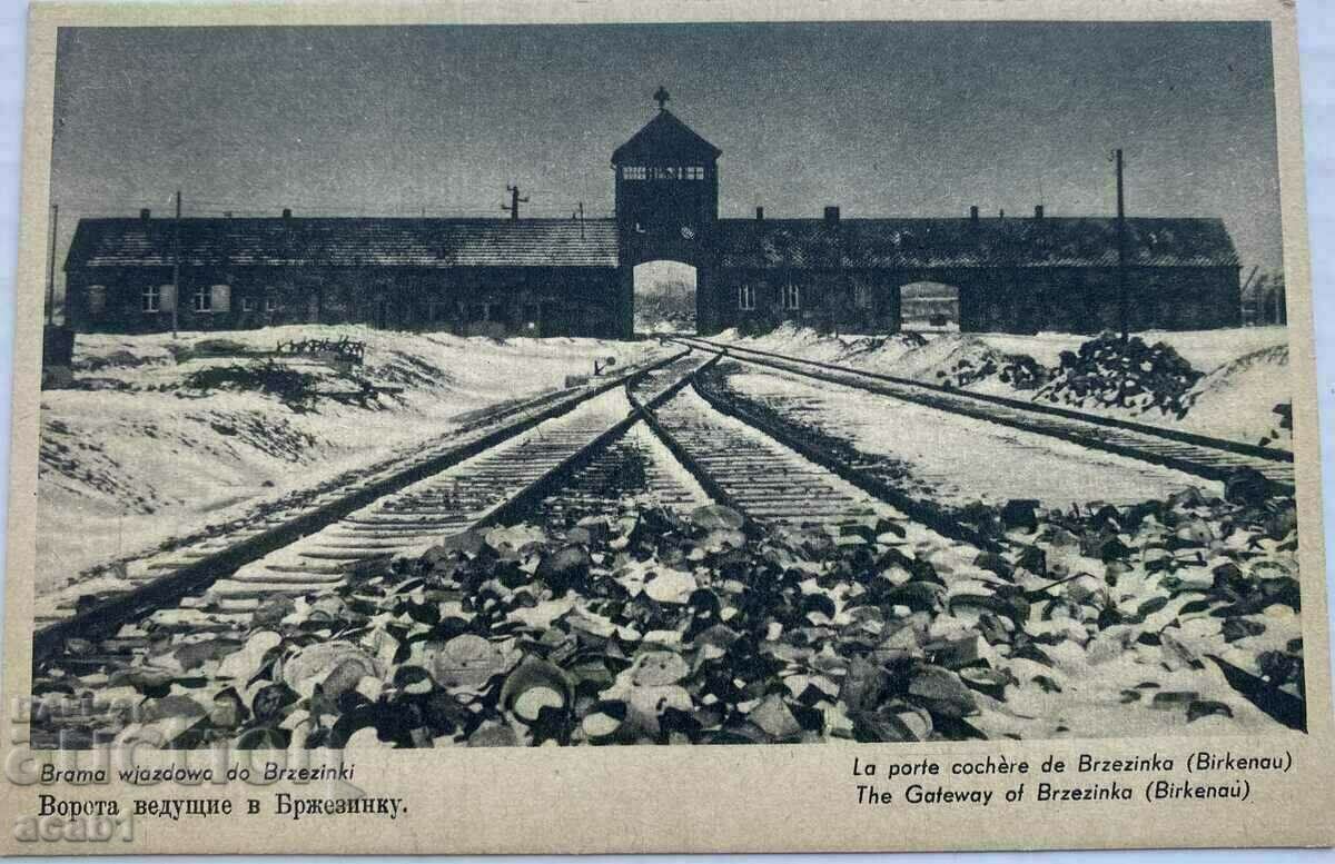Delivery of Auschwitz/Auschwienzium death camp Delivery of Auschwitz/Auschwienzium death camp