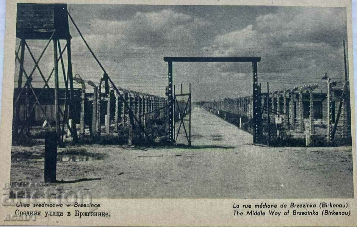 Auschwitz/Auschwienzium death camp - 5 Auschwitz/Auschwienzium death camp - 5