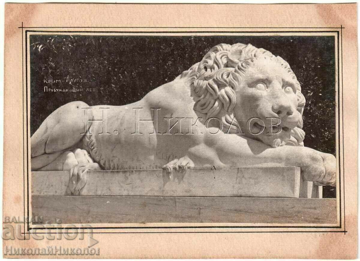 1932 OLD PHOTO UKRAINIAN CRIMEA ALUPKA LION PALACE B894 1932 OLD PHOTO UKRAINIAN CRIMEA ALUPKA LION PALACE B894