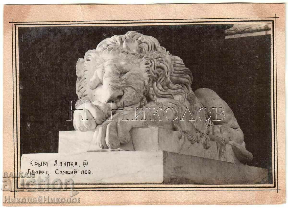 1932 ΠΑΛΙΑ ΦΩΤΟΓΡΑΦΙΑ ΟΥΚΡΑΝΙΚΗΣ ΚΡΙΜΑΙΑΣ ALUPKA LION PALACE B895