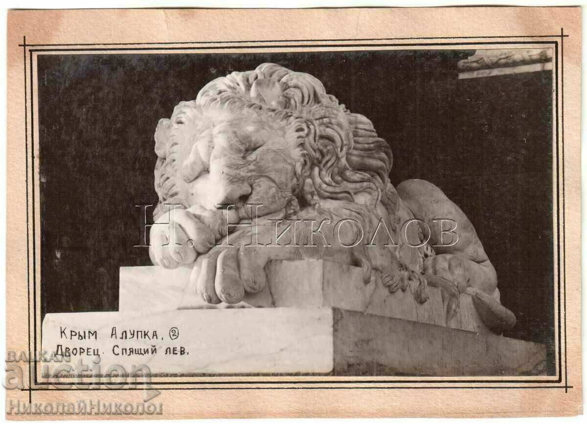 1932 OLD PHOTO UKRAINIAN CRIMEA ALUPKA LION PALACE B895 1932 OLD PHOTO UKRAINIAN CRIMEA ALUPKA LION PALACE B895
