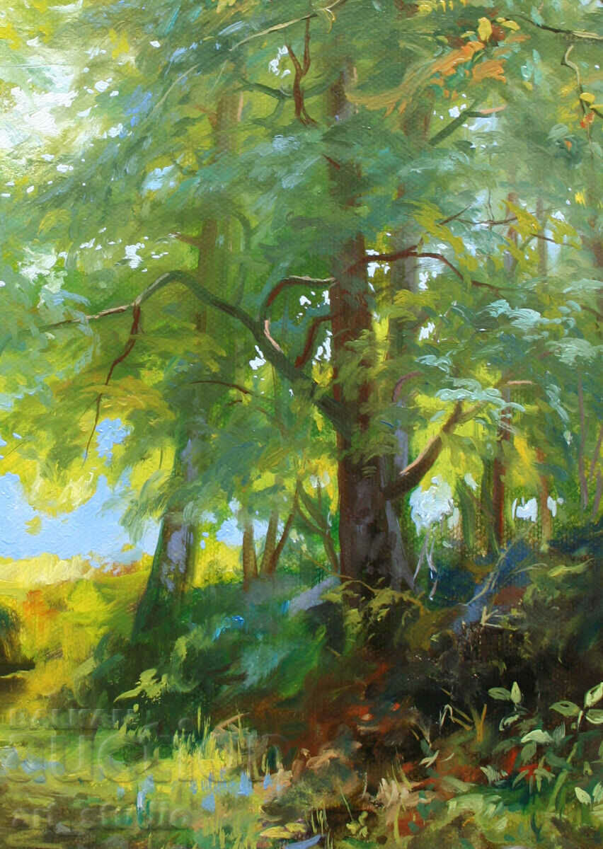 Amenajarea pădurilor - vopsele de ulei cu preț € 127.82 | 249.99 BGN