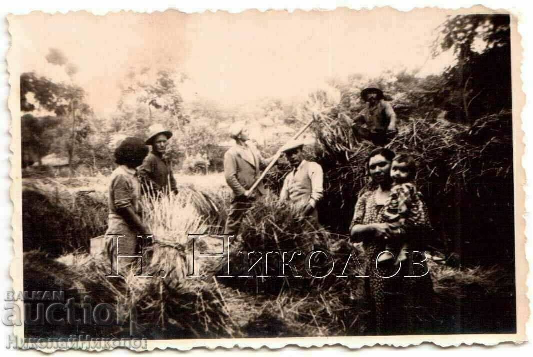 LITTLE OLD PHOTO COUNTRY IDYLLIC HAY GATHERING B903