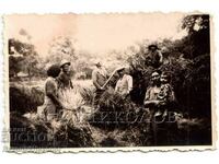 LITTLE OLD PHOTO COUNTRY IDYLLIC HAY GATHERING B903