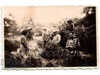 ΜΙΚΡΗ ΠΑΛΙΑ ΦΩΤΟ ΧΩΡΑΣ ΕΙΔΥΛΛΙΚΟΣ ΣΥΓΚΕΝΤΡΩΣΗ ΣΑΝΟΥ Β903