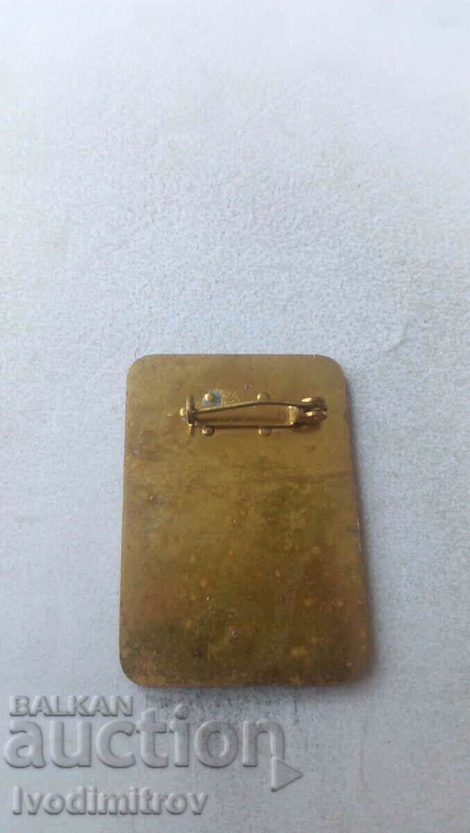 Badge 30 Jahre DDR Fachelzug der FDJ with price 2.85 BGN | € 1.46 Badge 30 Jahre DDR Fachelzug der FDJ with price 2.85 BGN | € 1.46