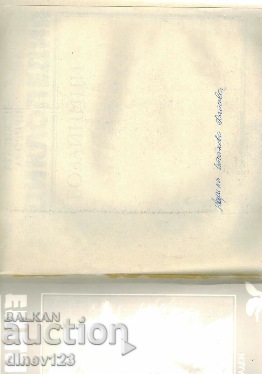 Licitație ENCICLOPEDIA MAMIFERELE 1 - VASIL GEORGIEV