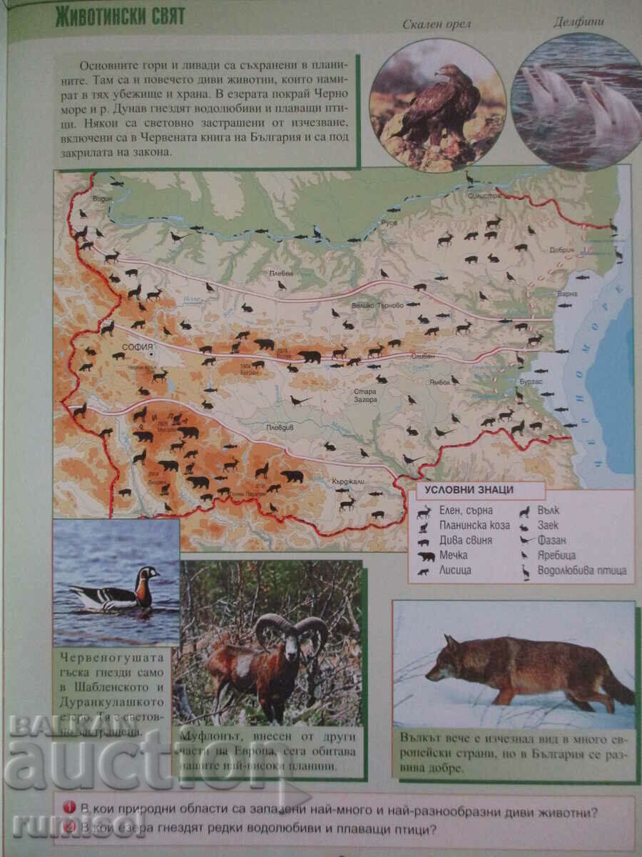 Auction  Atlas and outline. cards with tasks on man and society 4 k