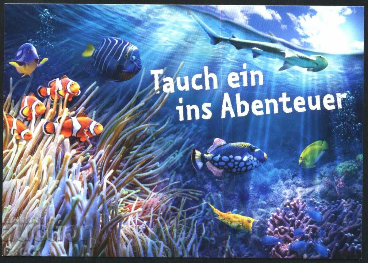 Διαφημιστική κάρτα Fauna Fish Zoo από τη Γερμανία