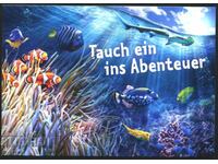 Fauna Fish Zoo advertising card from Germany