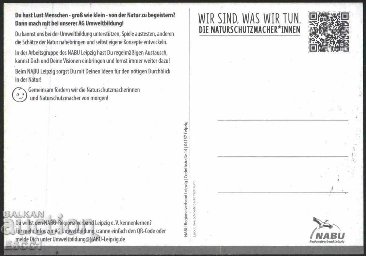 Postcard Fauna Bird Owl from Germany with price 1.50 BGN | € 0.77 Postcard Fauna Bird Owl from Germany with price 1.50 BGN | € 0.77