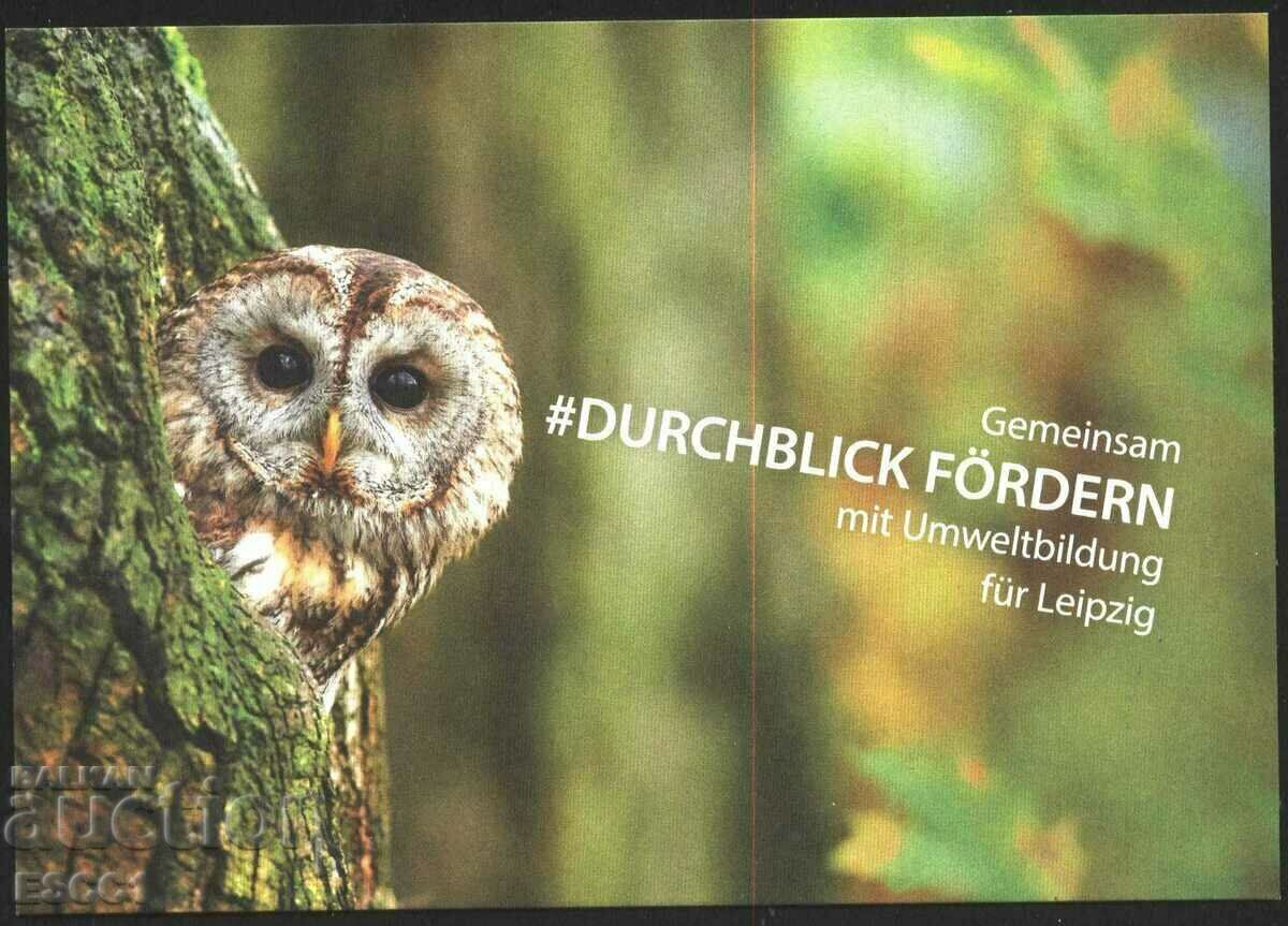 Postcard Fauna Bird Owl from Germany