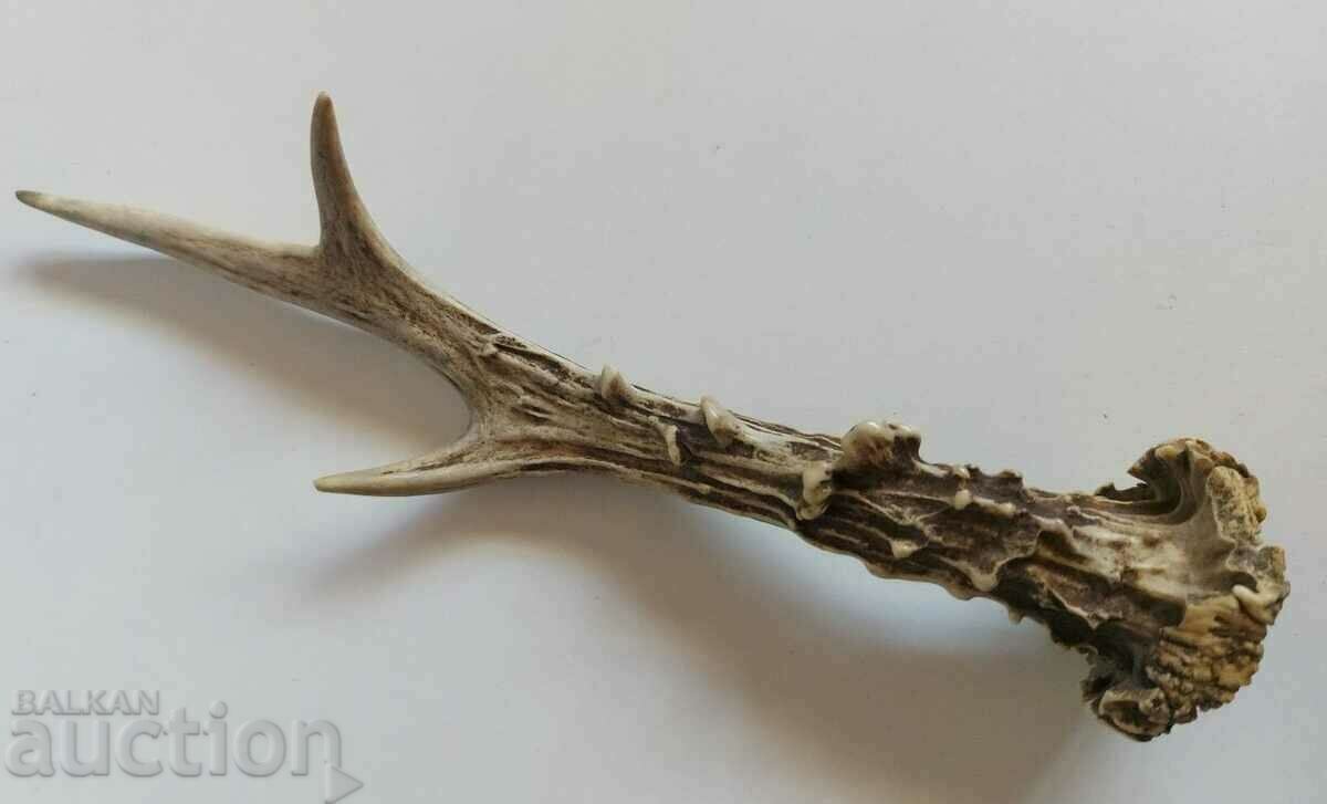 OLD HORN TROPHY DECORATION HUNTING HUNTING with price 19.00 BGN | € 9.71 OLD HORN TROPHY DECORATION HUNTING HUNTING with price 19.00 BGN | € 9.71