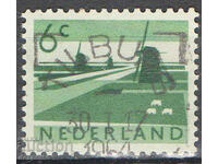 1962. The Netherlands. Regular feed.