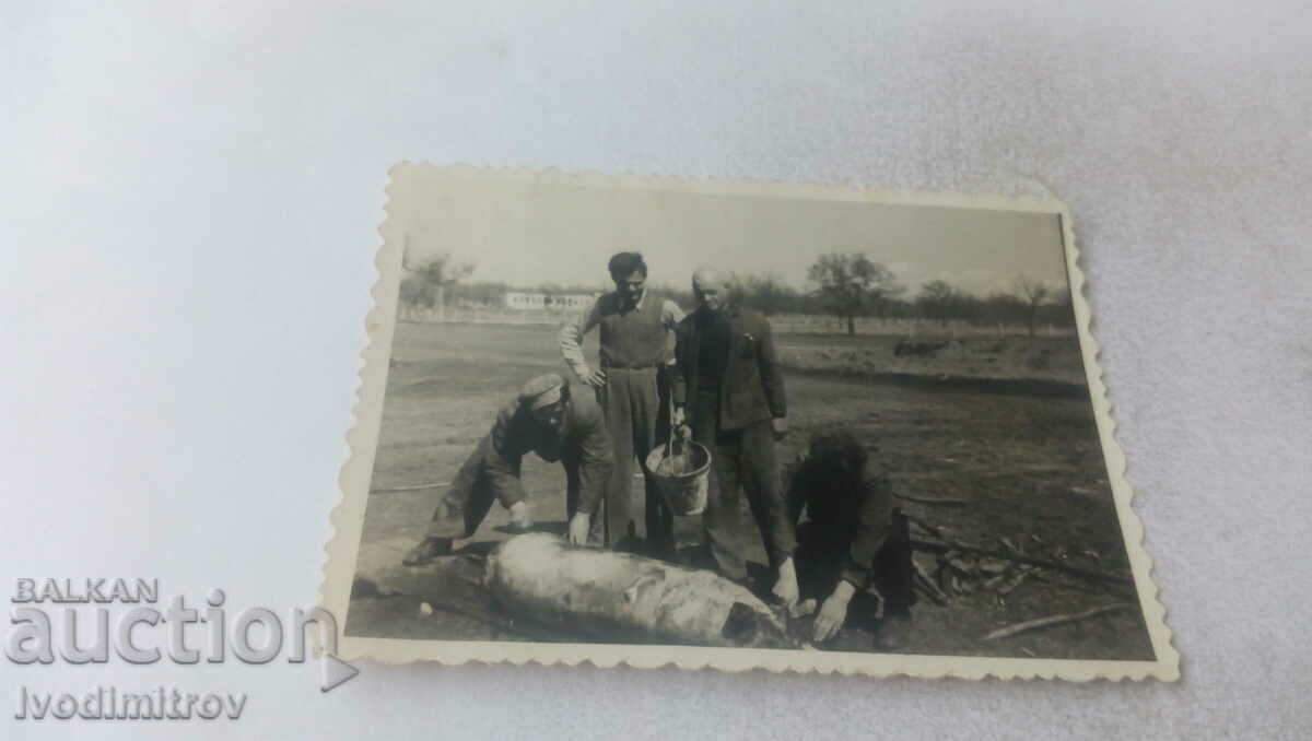 Photo Purling a slaughtered pig