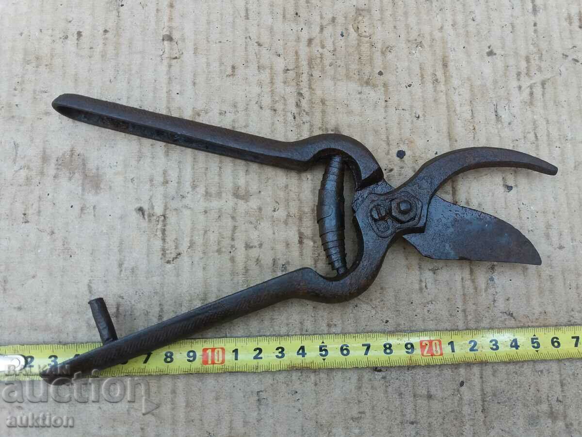STEELIZED SOC. VINE SHEARS, TOOL EXCELLENT - 5