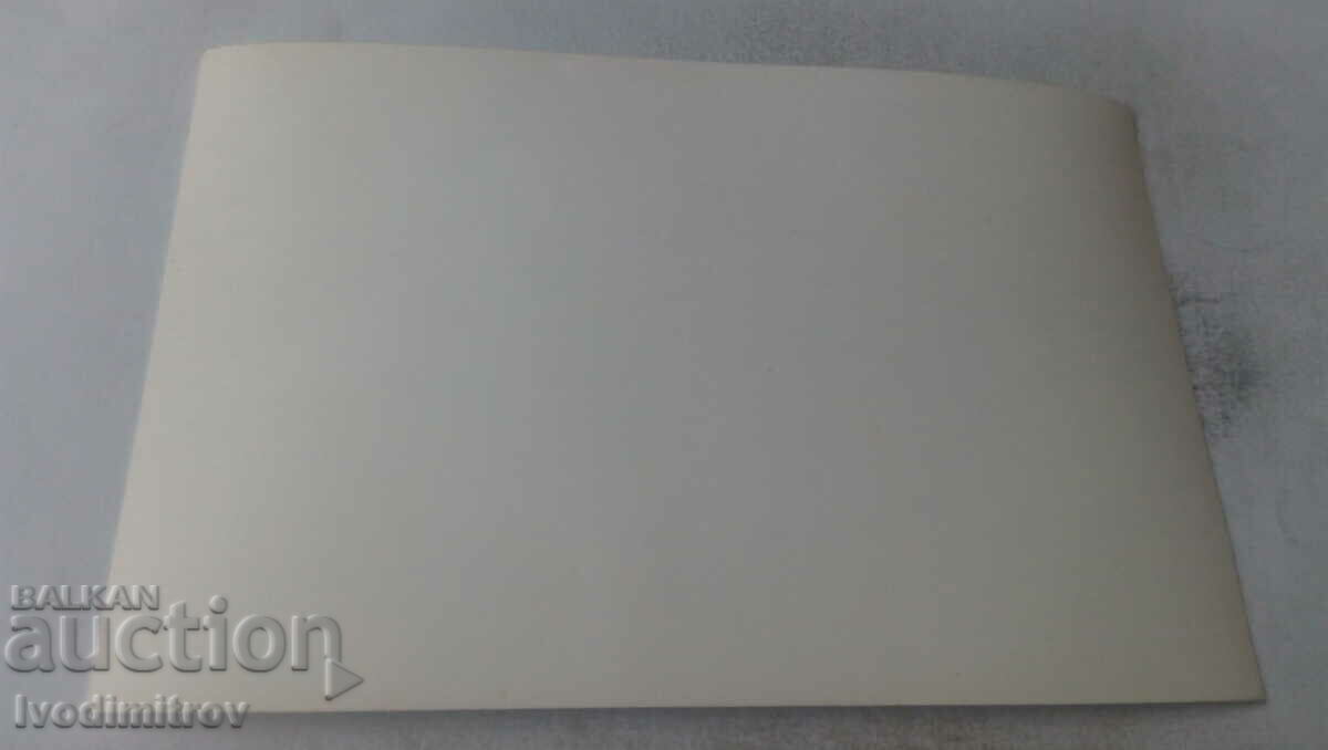 Φωτογραφία Άνδρας και γυναίκα σε ένα πικνίκ στο γρασίδι με τιμή 1.45 BGN | € 0.74