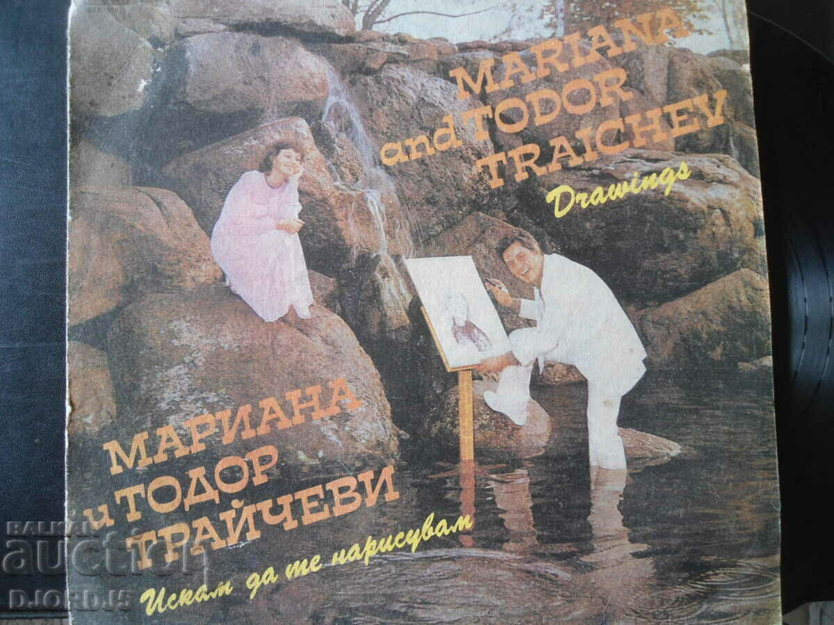 Auction Mariana and Todor Traichevi, gramophone record large, VTA 11015 Auction Mariana and Todor Traichevi, gramophone record large, VTA 11015