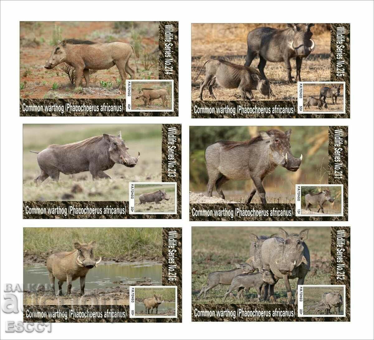 Clean blocks Fauna Warthog 2020 από το Τόνγκο