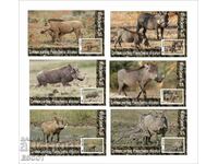 Blocuri curate Fauna Warthog 2020 din Tongo