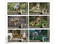 Чисти блокове Фауна Вълци 2020  от Тонго