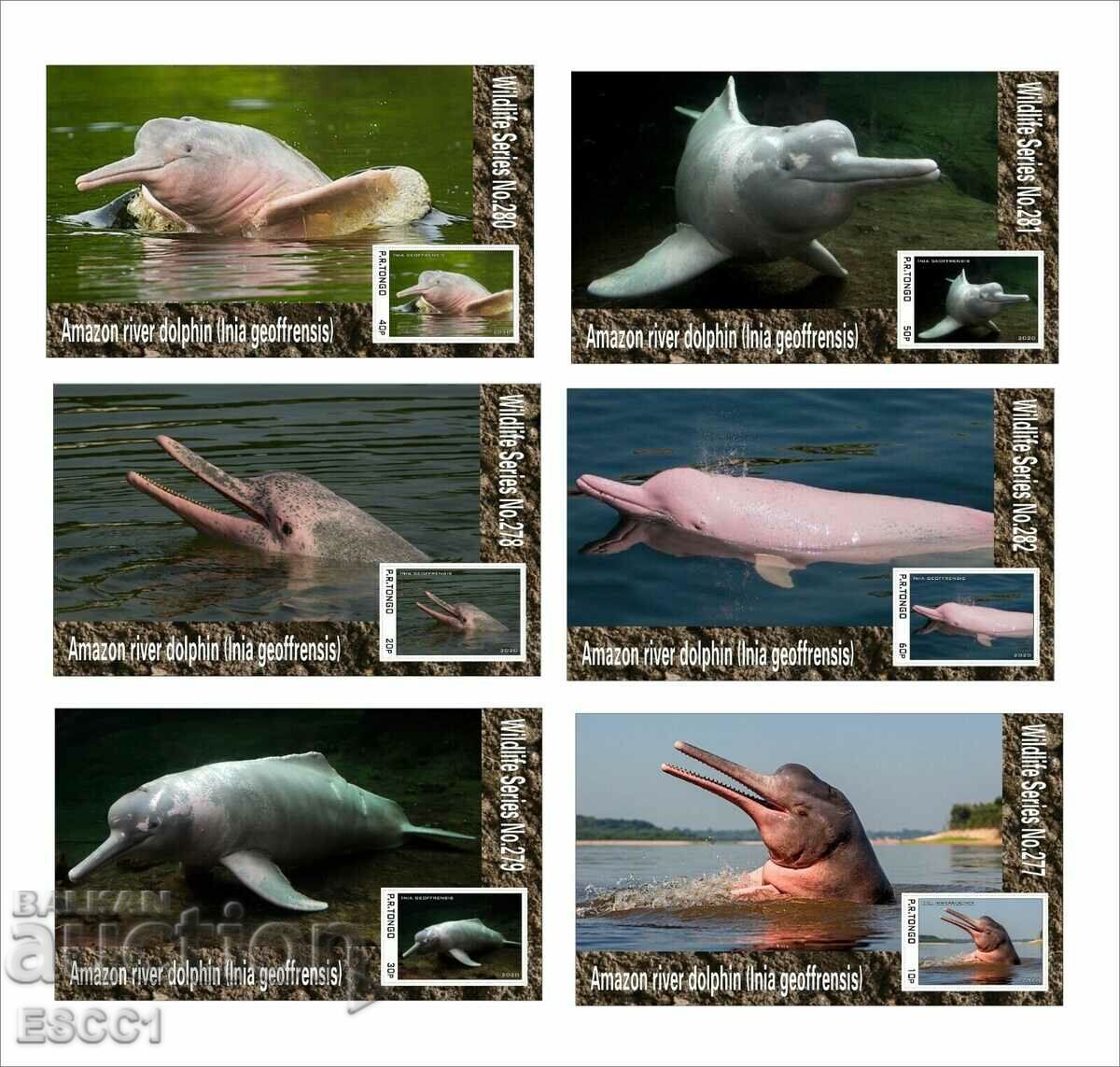 Clean Blocks Fauna Amazon River Dolphin 2020 by Tongo